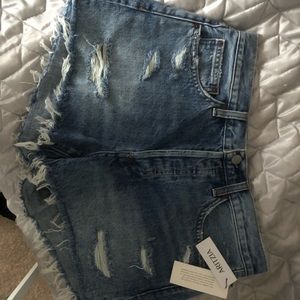 Aritzia Denim Forum Ex Boyfriend Shorts